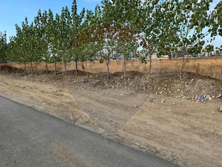 Teren 9400 mp Strada Gura solcii - 7