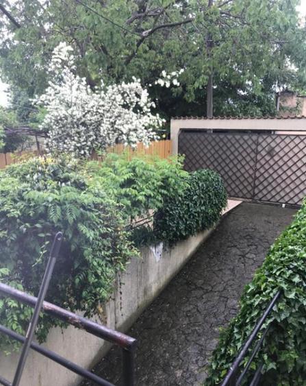 Casa S+P+1+M km5 - 17