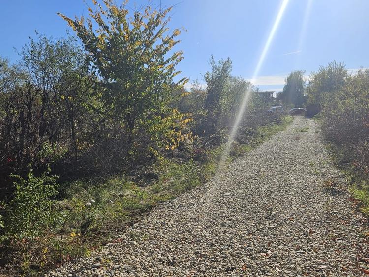 Teren de vanzare in Vladiceasca, 720mp, langa DN1 - Snagov Plaza - 12