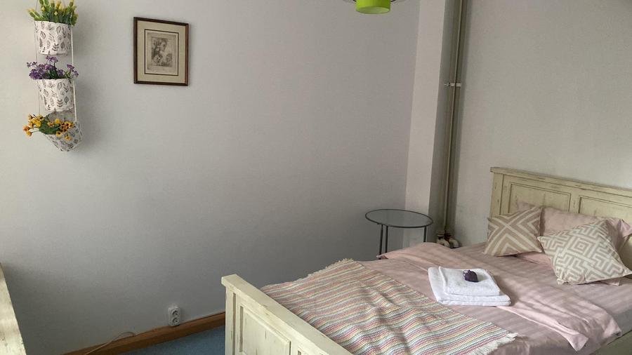 Vila individuala Victoriei pretabil birouri clinica restaurant rezidenta - 24