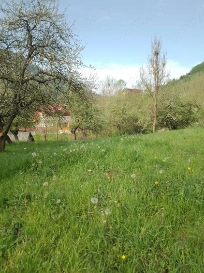 Vand teren in com.Vidra jud.Alba. - 5