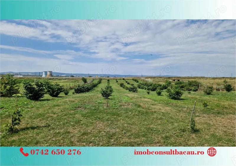 Un colt de rai pe-un picior de plai! CE1210 - 1