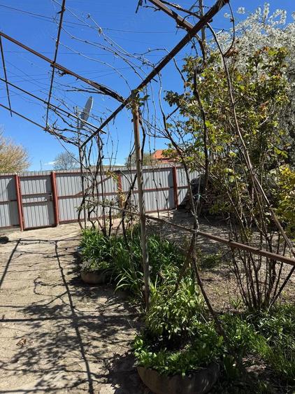 Vand casa cu gradina in Vanju-Mare jud. MH, situata intr-o zona buna si linistita a orasului. - 4