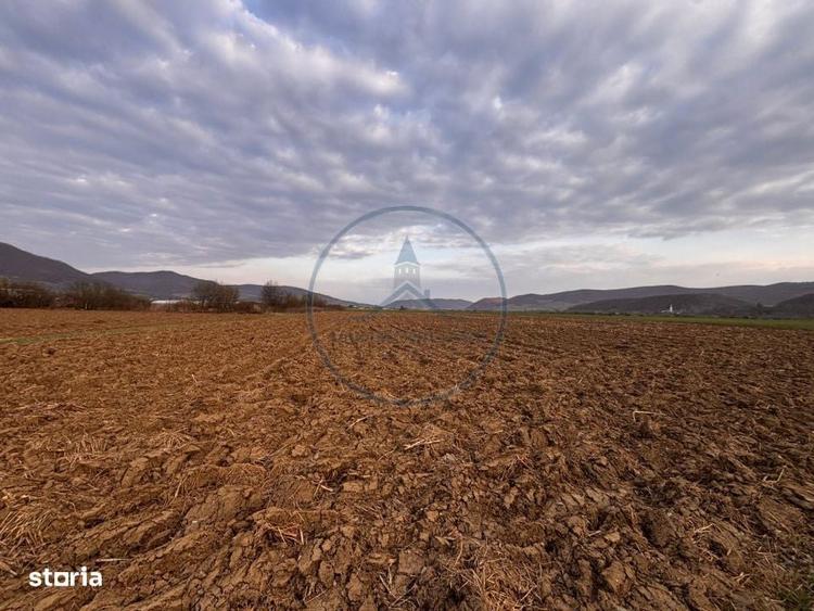 Teren extravilan de vanzare | ?ieu-Magherus | Ideal pentru cabana / r - 3