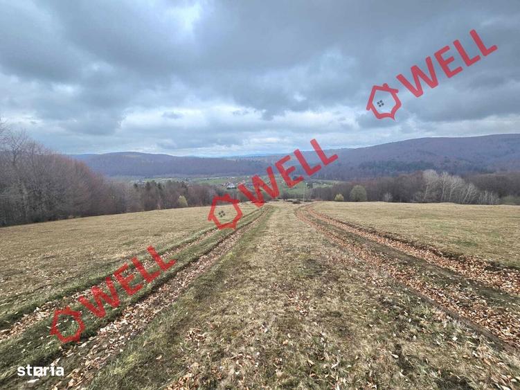 2 terenuri extravilane, Vama Buzaului,zona denumita ,,LENIEE,,! - 5