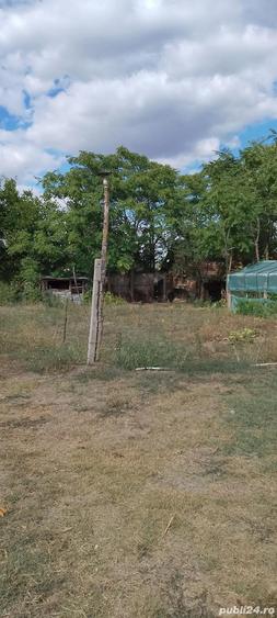 Casa la ?ara jud. Giurgiu, 4 camere, curte 4000 mp - 6