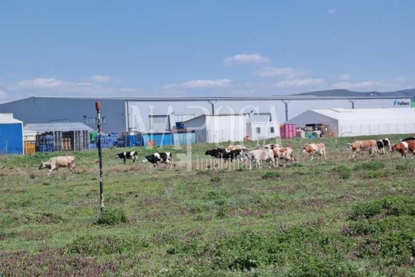 Teren intravilan pentru constructii de vanzare in Dej... - Comision 0% - 9