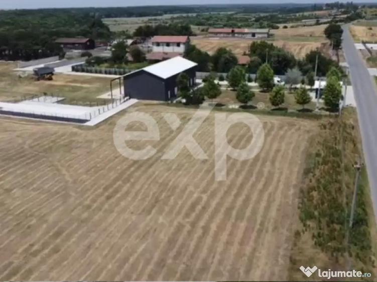 Black Angus Farm with authorized Slaughterhouse - 5