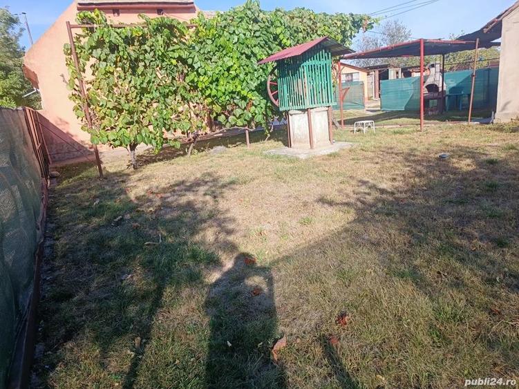 Vand sau schimb cu apartament casa caramida+ vaiuga + teren pentru casa in com. Livezile jud.Timi?. - 5