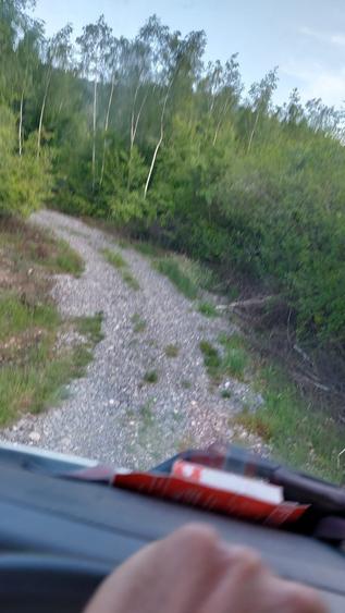 Teren de 11724 mp, în Negreni