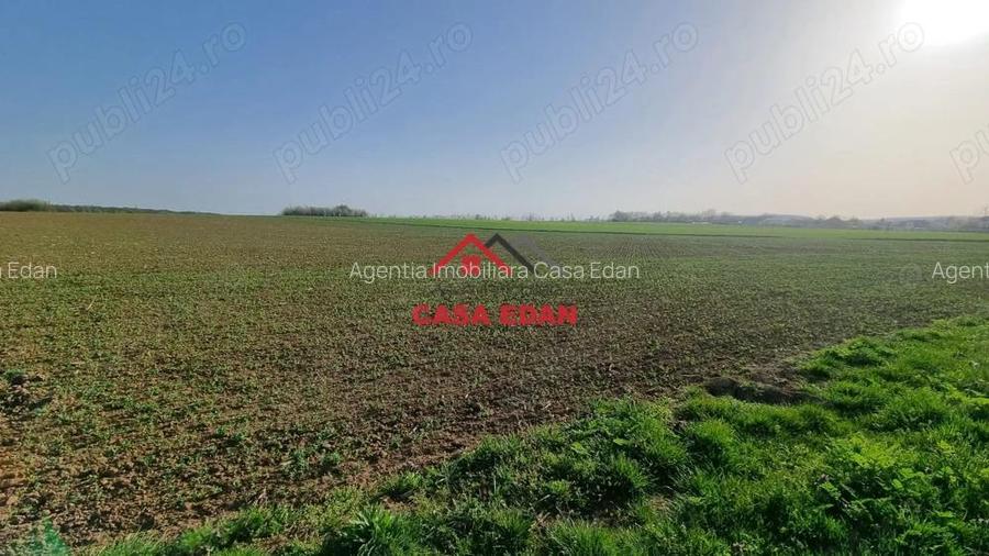 Teren extravilan in Urleta--5000m--18.500e