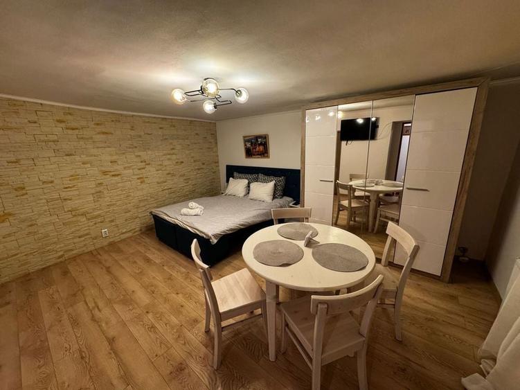 Casa Vila Apratament 1 2 3 camera camere garsoniera pensiune hotel - 6