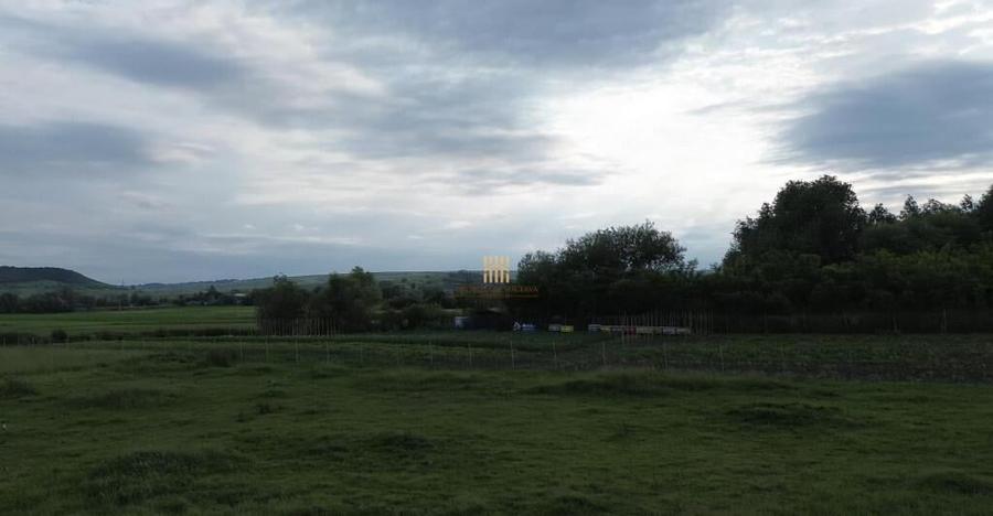 Teren 3953 mp Falticeni Tarna Mare De 0727817187 - 11