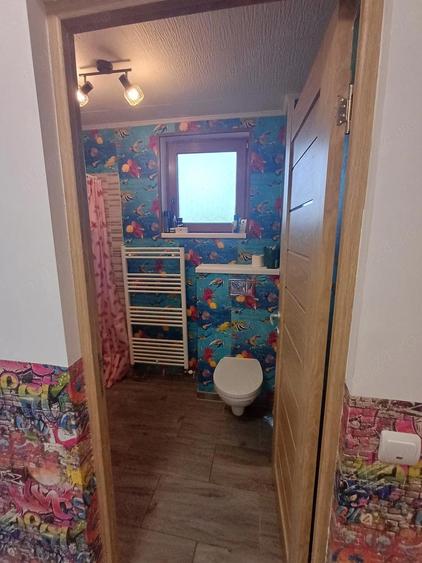 Vand casa in Halchiu, Bra?ov - 4
