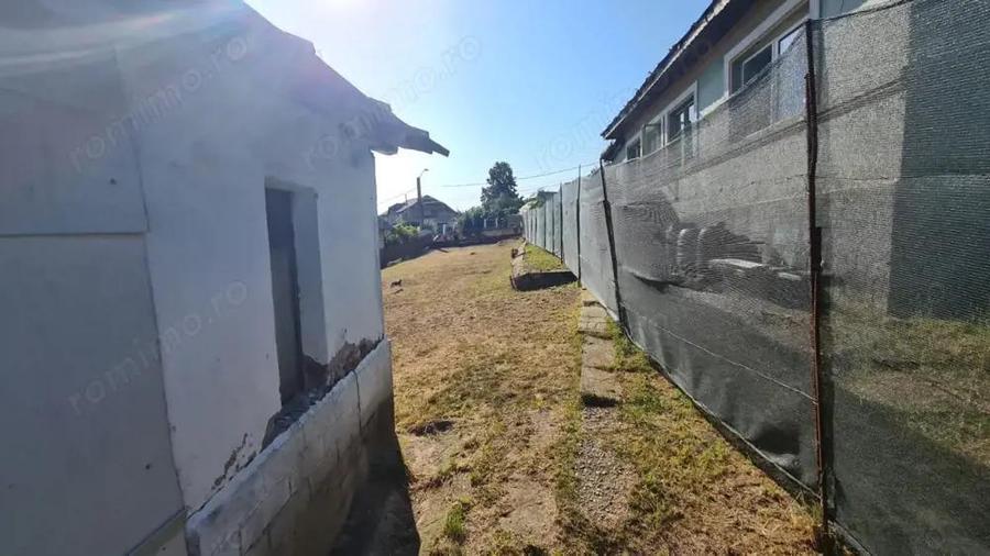 Teren Balotesti, suprafata = 908 mp - 5