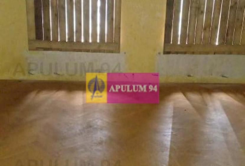 Vila P+1+pod- Parcul Ioanid - 5