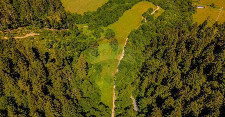 COMISION 0% Teren Bradet 7300 + 6000 mp/ Sacele /Intravilan - 10