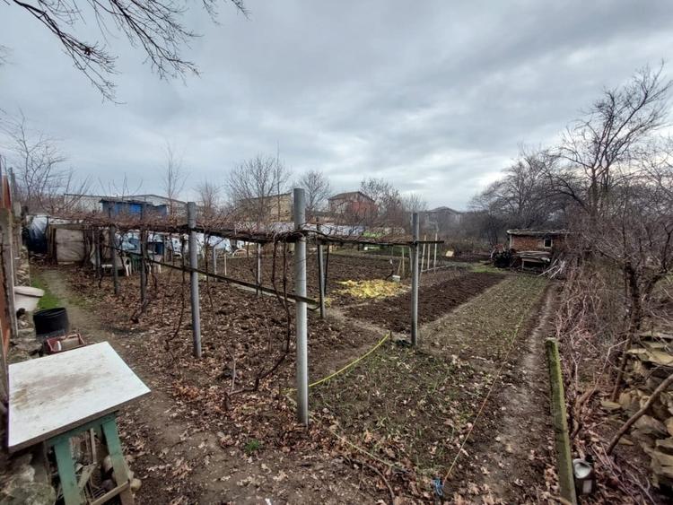 TEREN 2300mp  |  KAMSAS  |  CONSTANTA - 6