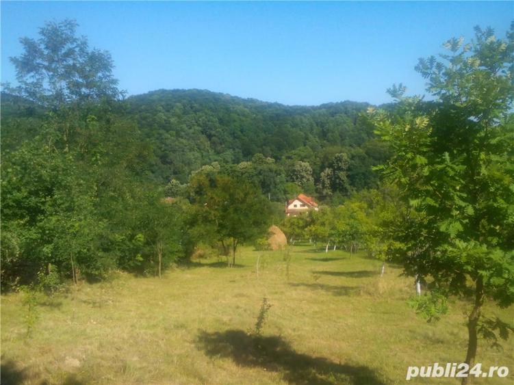 Vand vila si teren intr-o zona superba in loc. Savarsin (jud. Arad) - 10