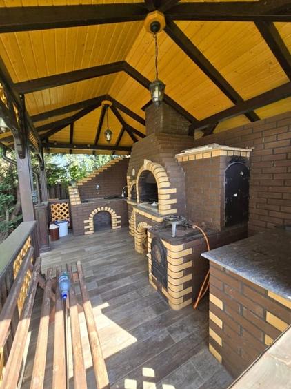 Casa de Vis, Serbanesti - 6