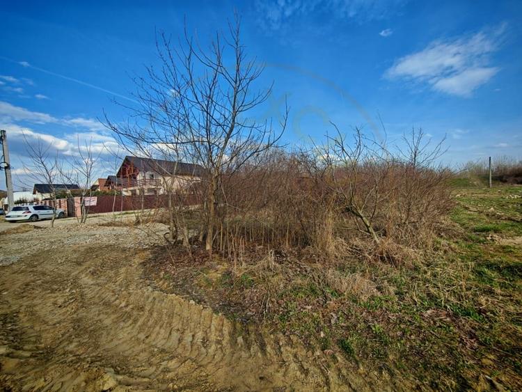 Teren intravilan 2273 mp in Pitesti, str. Mateias, iesire spre Campulung Muscel - 4