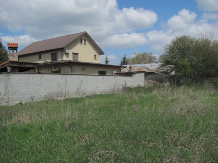 Cornetu - Lalelelor, Stradal - 2