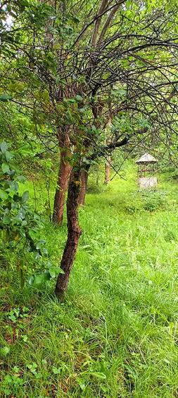 Vand proprietate in Vadu Cri?ului, jud. Bihor - 8