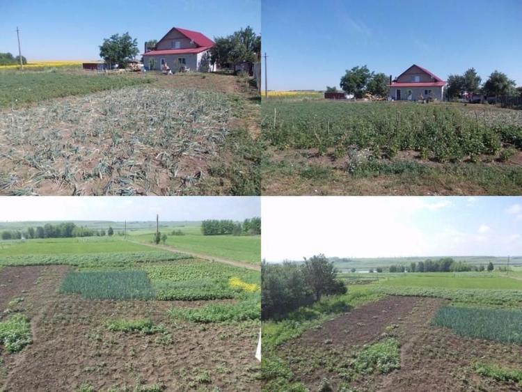 VILA langa LAC ! Panouri fotovoltaice ! - 6