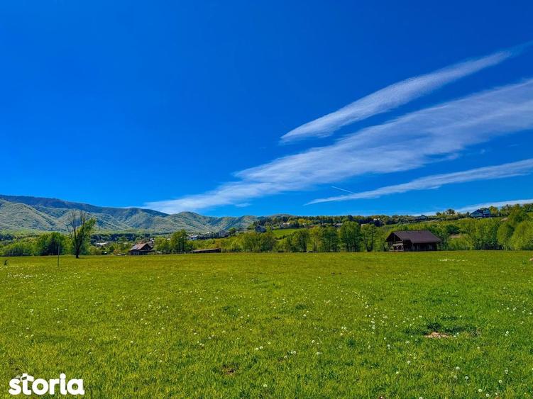 Teren intravilan Tocile ideal casa locuinta individuala/ investitie - 10