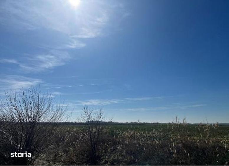 Teren extravilan, Loc Dor Marunt, Jud. Calarasi - 5