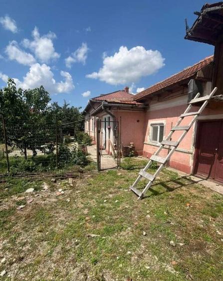 Casa de Locuit cu Teren si Curte Mare Tiganesti, Teleorman - 4