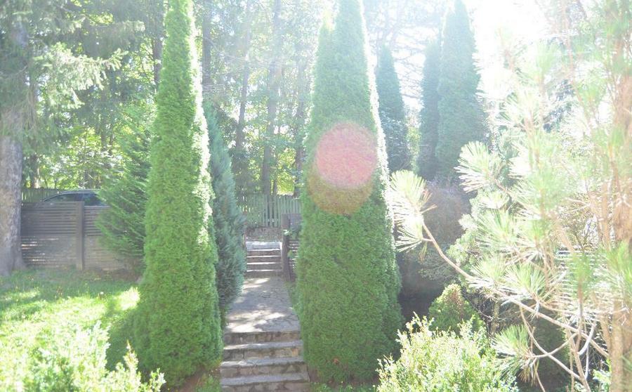 Vila de vacanta situata in Predeal-Cioplea - 10