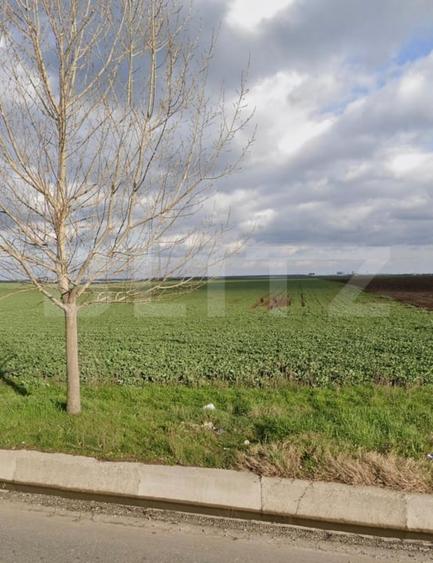 Teren 15.000 mp, 28 parcele, Peugeot/Pielesti - 1