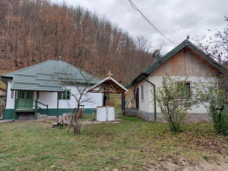 Casa, teren si padure de vanzare-40.000 mp, direct proprietar in Apuseni. - 4