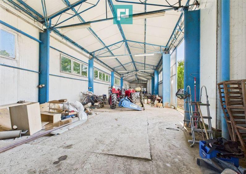 Cladire cu 5 camere cu teren ?i hala in Cenad - 10