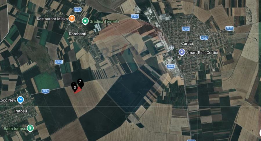 Teren extravilan 46,300mp Curtici - 5