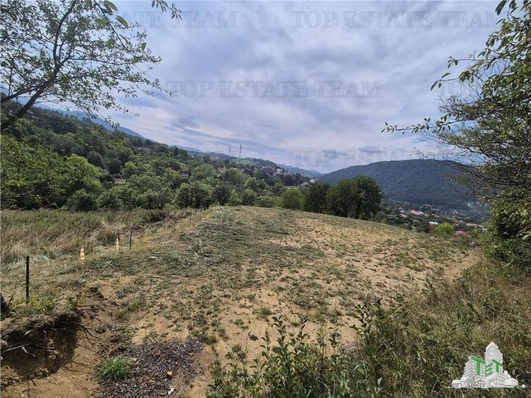 Teren intravilan pentru investitie turistica, 4000 mp, langa Club Vila Bran cu p - 4