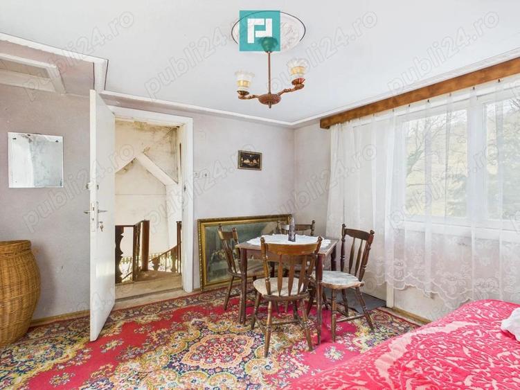 Vand casa D+P+E in Rosia Noua (com. Petris) - 11