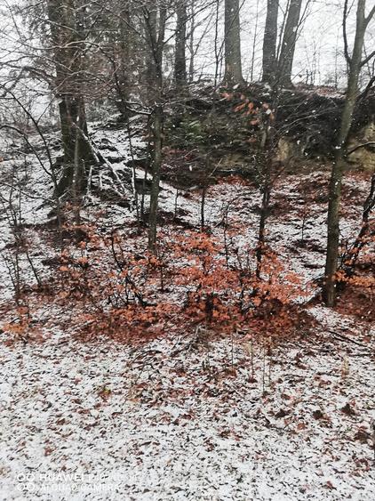 Teren intravilan situat in Busteni - 6