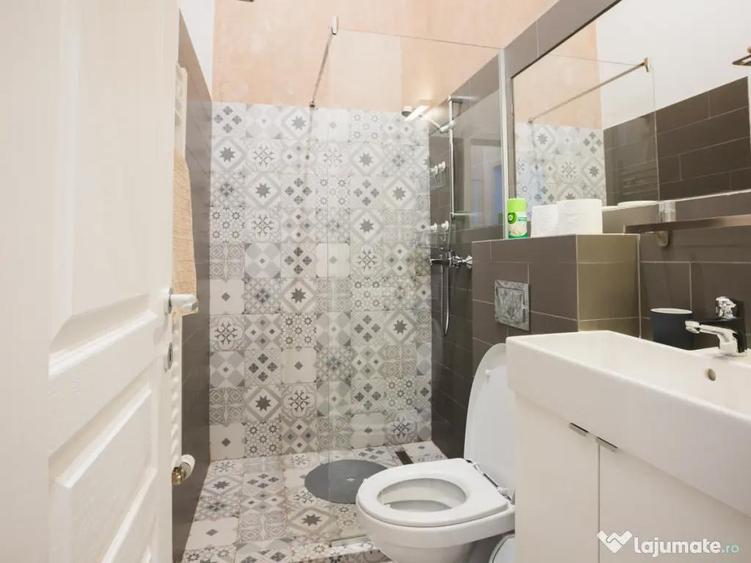 Apartament 3 camere Piata Muzeului - 4