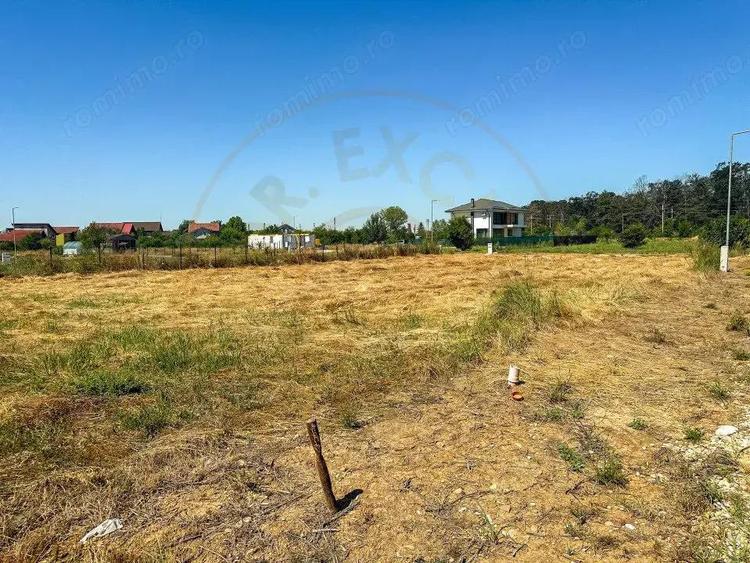 Teren cu dubla deschidere Eden Forest - 4