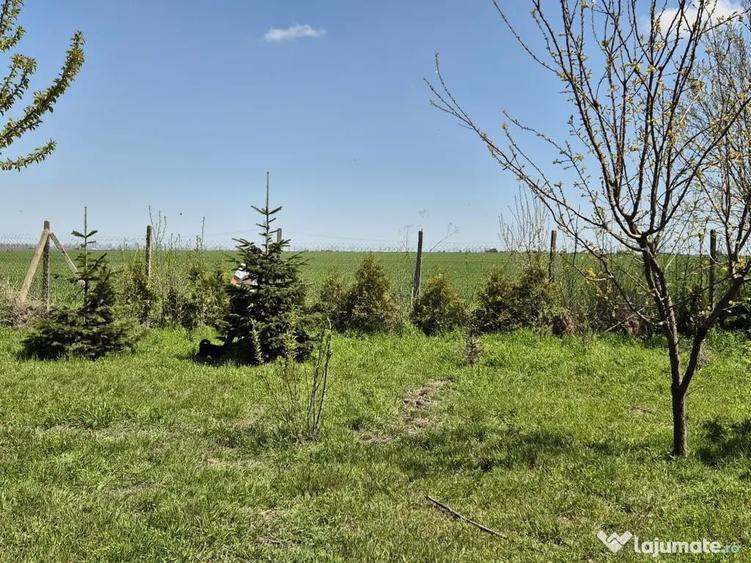 Teren 1000 mp, Oituz (Constan?a) - 8