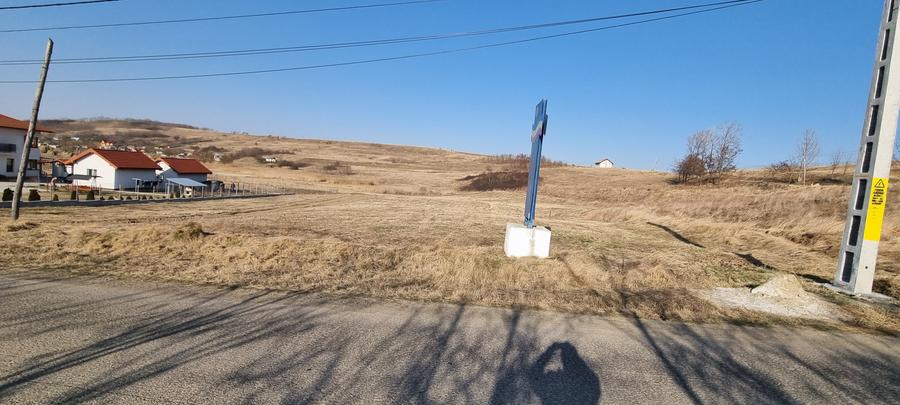 Teren cu suprafata de 4000mp cu  iaz Catamarasti Vale - 1