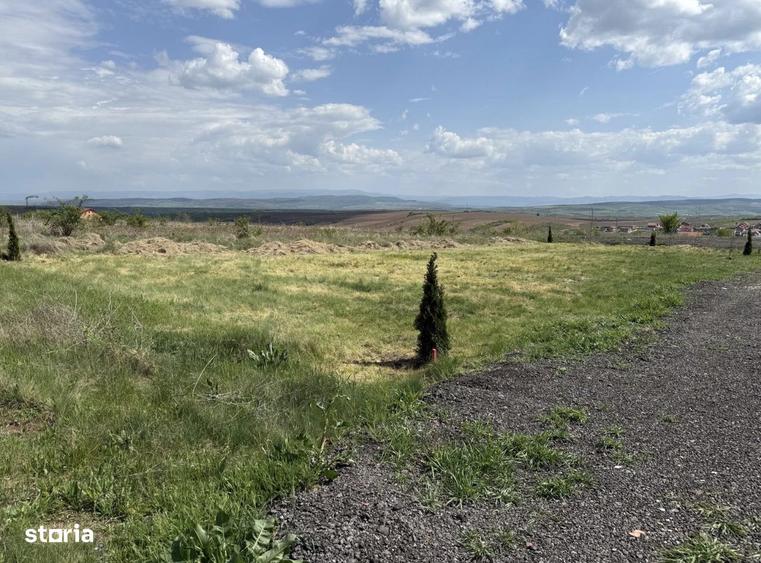 Teren intravilan - 3