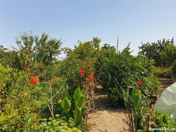 Proprietar vand casa in Lugoj - 5