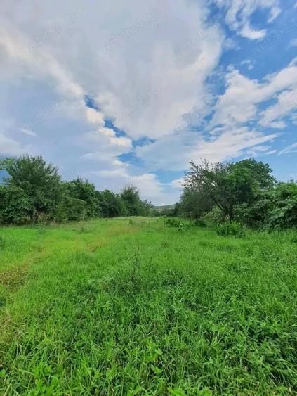Casa saseasca Brateiu, judetul Sibiu - 9
