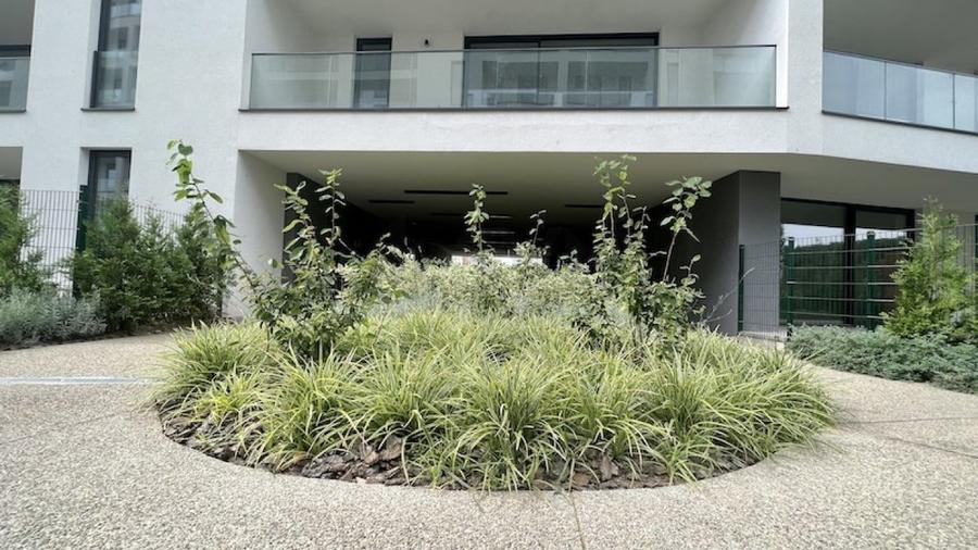 REA1016518 Apartament 3 camere gradina complex nou - 12