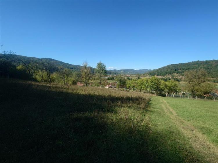 5,6 ha terenuri si padure in Criscior - 5