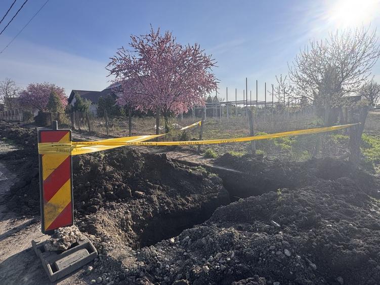 Teren Intravilan Becicherecu Mic 750mp,F.S 19ml,Utilitati,Asfalt - 3