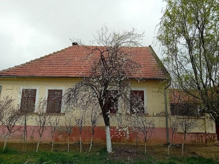 Proprietar, vand casa cu gradina mare in Hitia? - 4